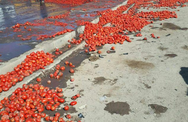 خراب شدن گوجه فرنگی در مرز باشماق